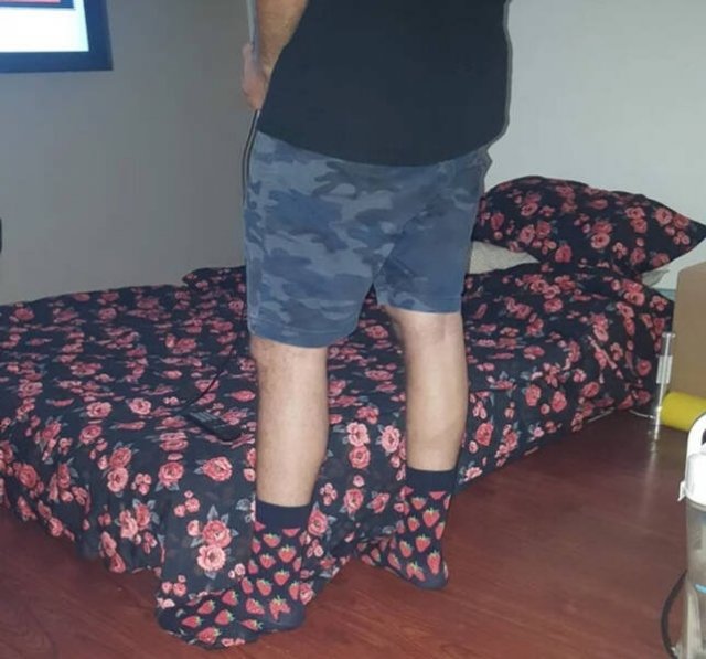 Unexpected Camouflage (24 pics)