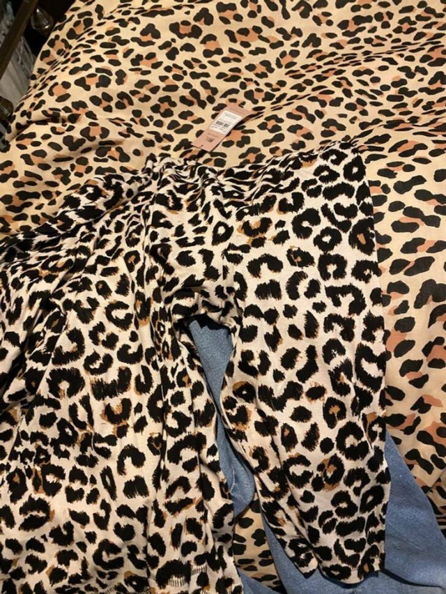 Unexpected Camouflage (24 pics)