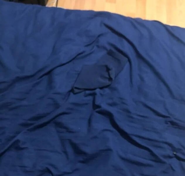 Unexpected Camouflage (24 pics)