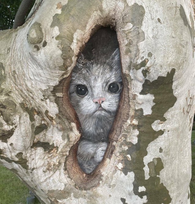 Unusual Things (15 pics)