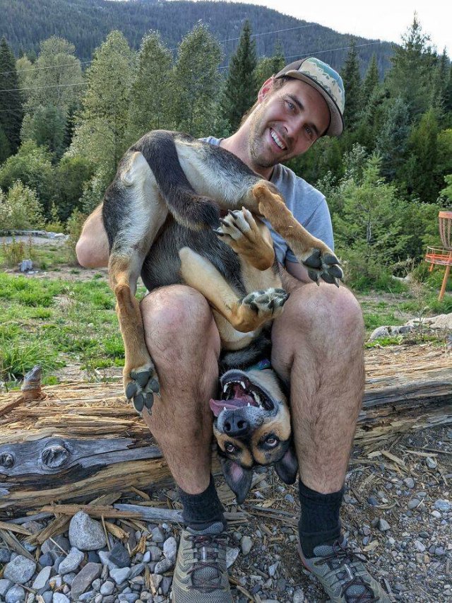 Funny Dogs (46 pics)