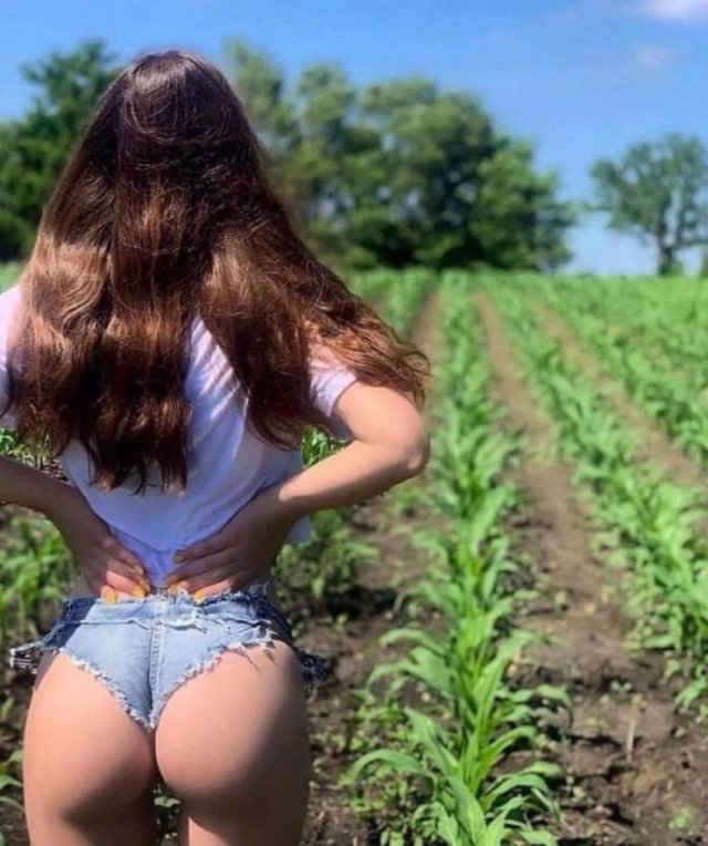 Girls In Shorts (48 pics)