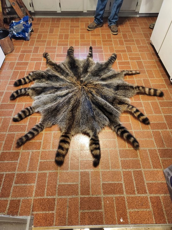 Weird Designs (29 pics)