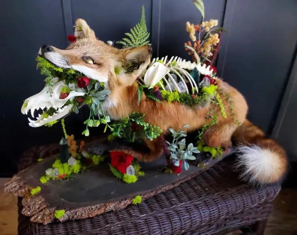 Weird Designs (29 pics)
