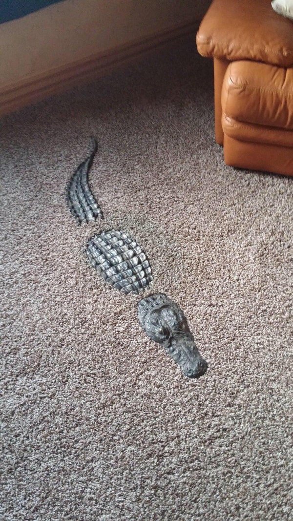 Weird Designs (29 pics)