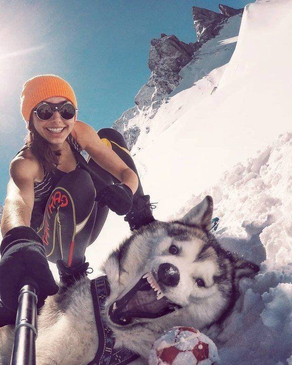 Funny Animals (50 pics)