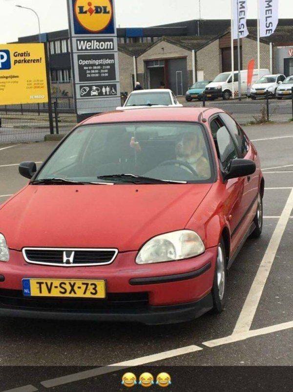 Funny Animals (50 pics)