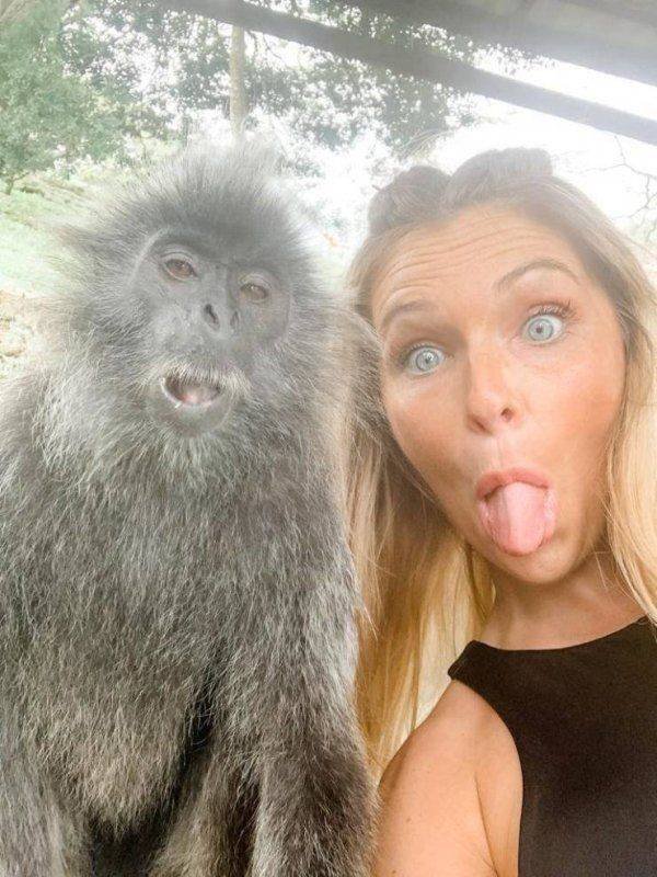 Funny Animals (50 pics)