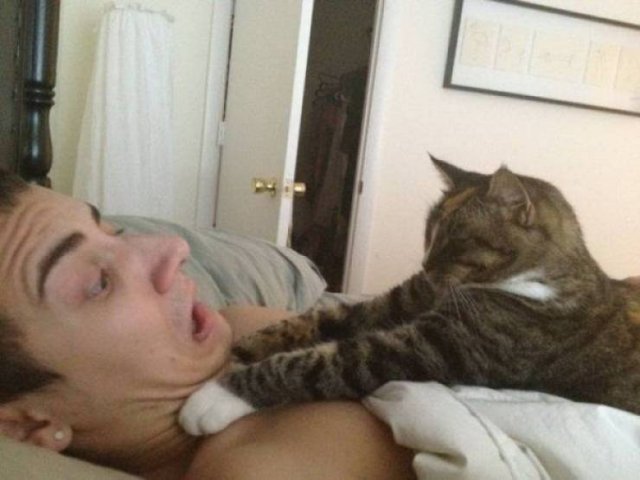 Funny Animals (50 pics)