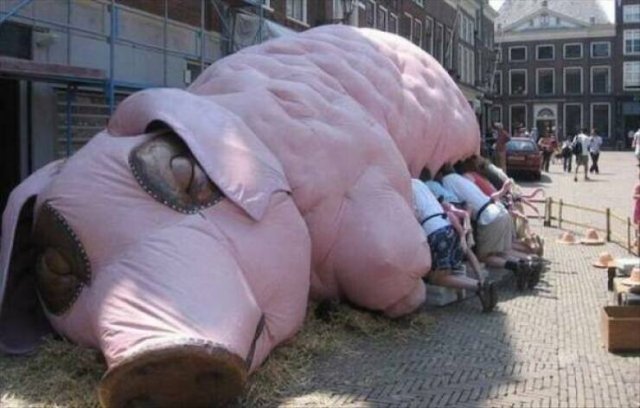 What Is Going On Here? (33 pics)