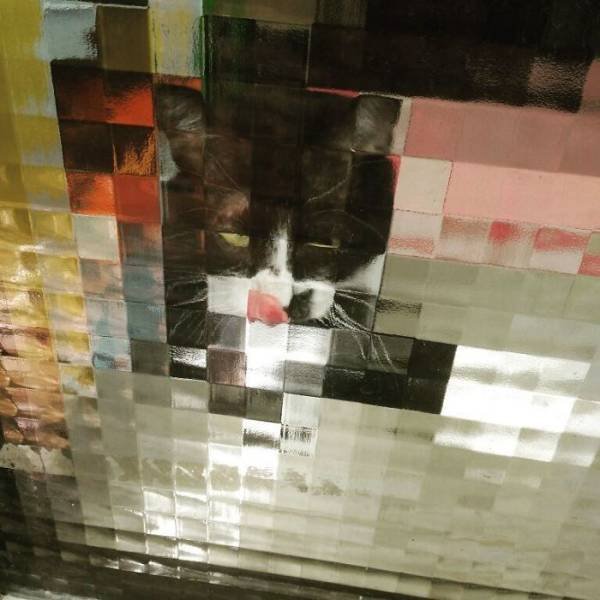 Funny Pixelated Cats (25 pics)