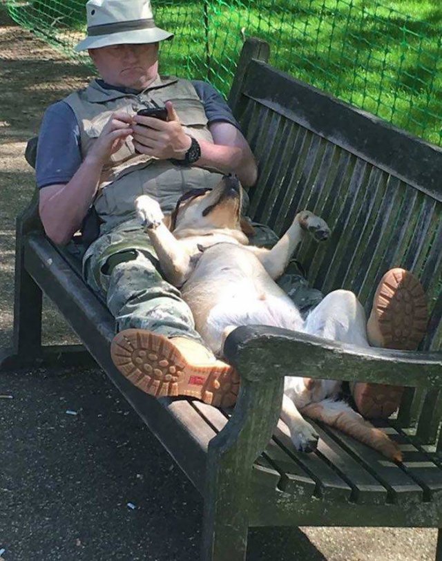 Cute Dogs (37 pics)