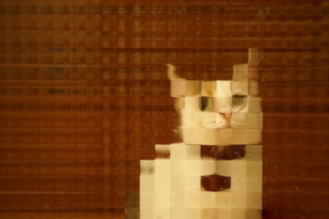 Funny Pixelated Cats (25 pics)