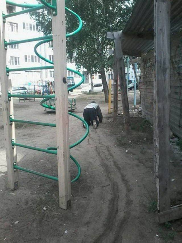 What Is Going On Here? (46 pics)