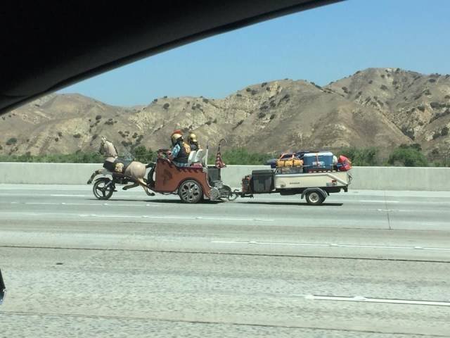 What Is Going On Here? (46 pics)
