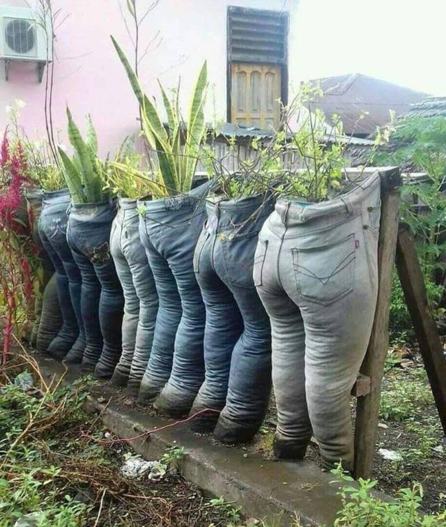 What Is Going On Here? (46 pics)