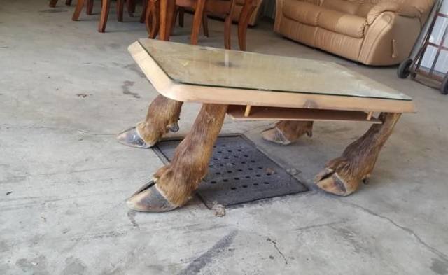What Is Going On Here? (46 pics)