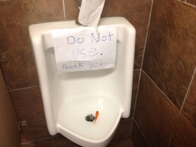What Is Going On Here? (46 pics)