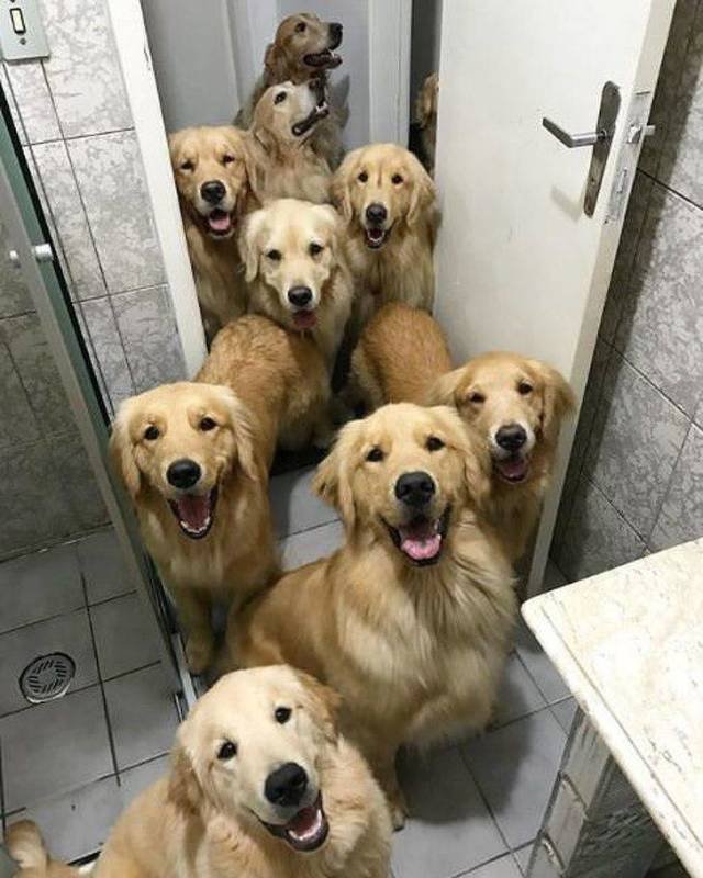 What Is Going On Here? (46 pics)