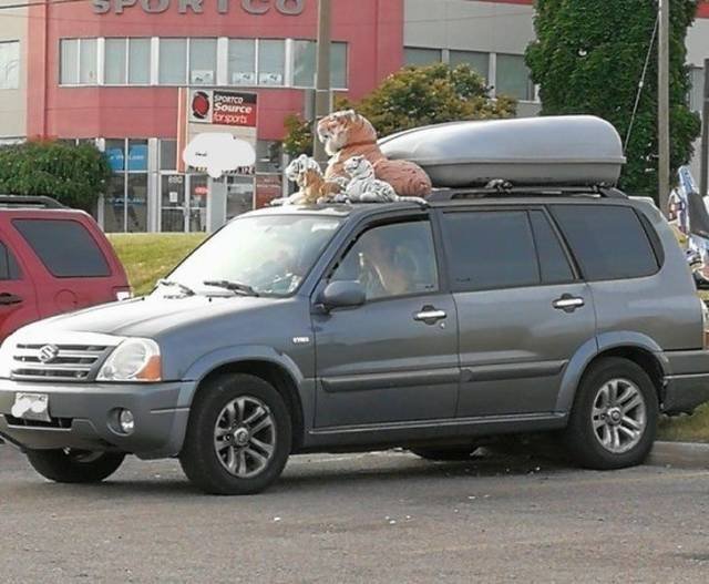 What Is Going On Here? (46 pics)