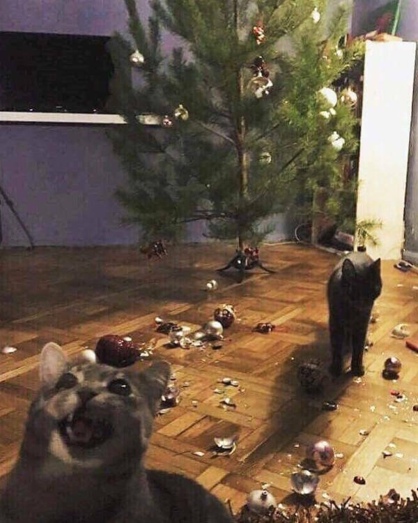 Bad Days Happen (18 pics)