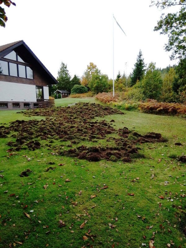 Bad Days Happen (18 pics)