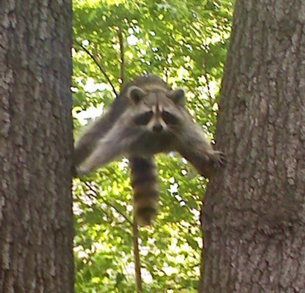 Unusual Finds And Situations (50 pics)