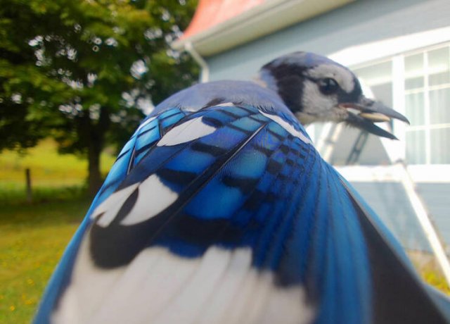 Unusual Finds And Situations (50 pics)