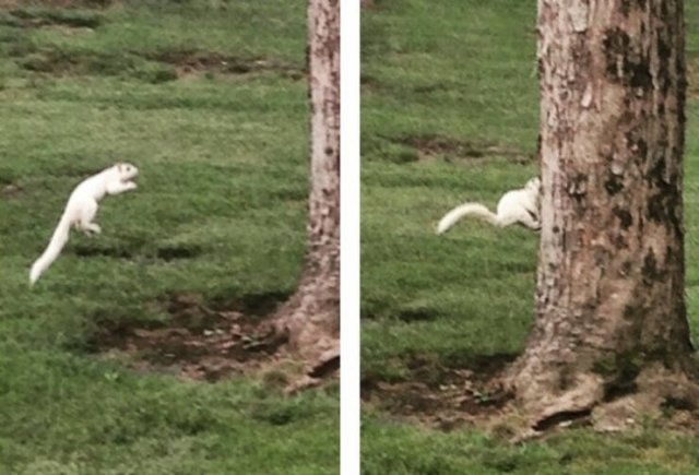 Unusual Finds And Situations (50 pics)