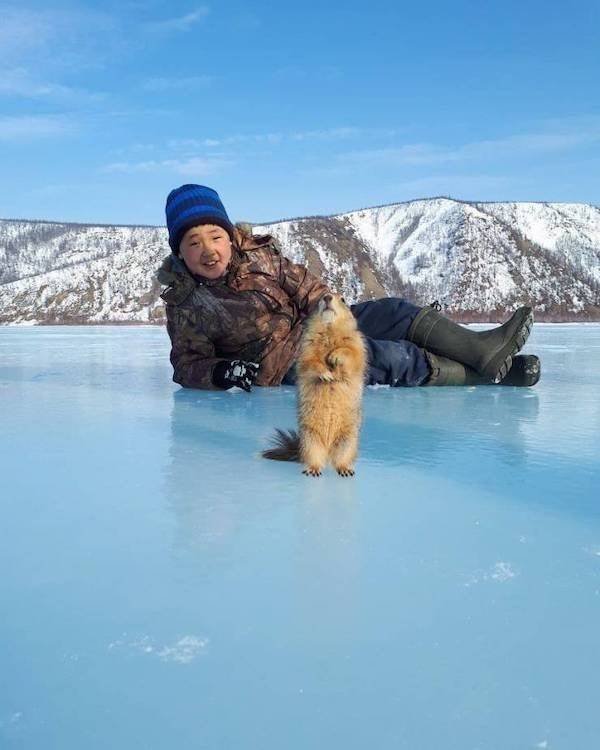 Funny Animals (36 pics)