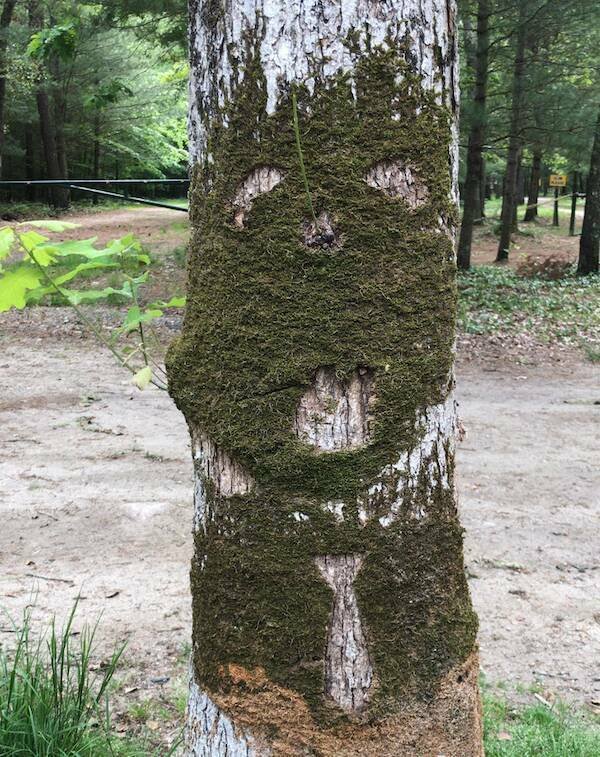 Optical Illusions (43 pics)