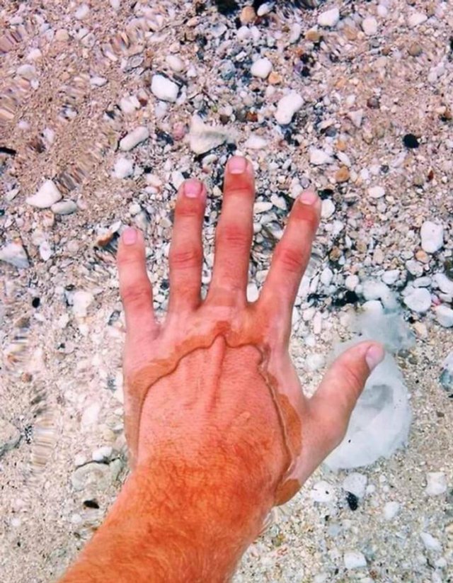 Optical Illusions (43 pics)