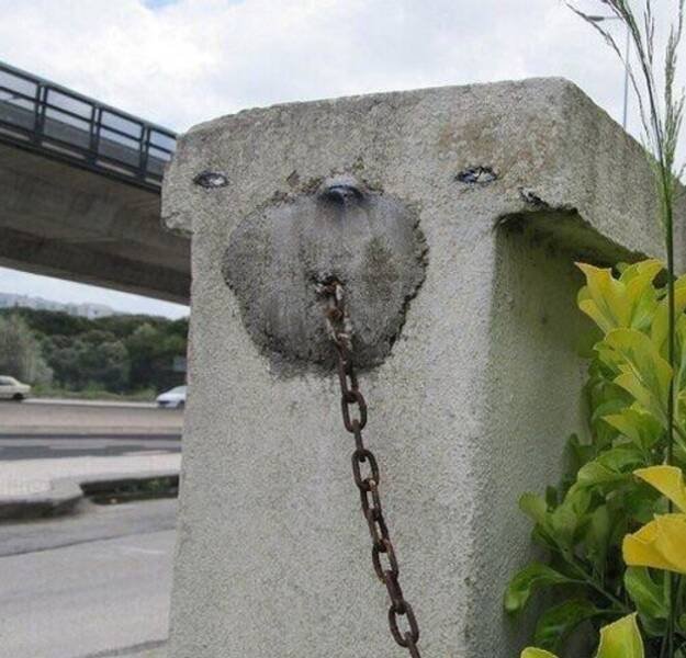 Optical Illusions (43 pics)