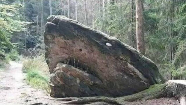 Optical Illusions (43 pics)