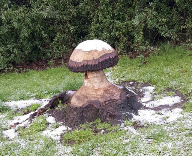 Unexpected And Awesome Finds (44 pics) Unexpected And Awesome Finds (44 pics)