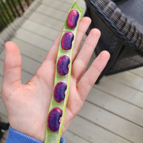 Unexpected And Awesome Finds (44 pics) Unexpected And Awesome Finds (44 pics)