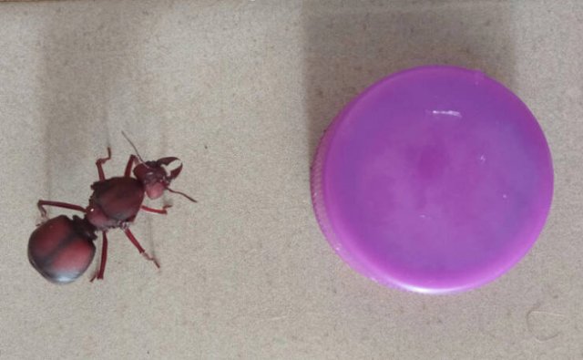 Unexpected And Awesome Finds (44 pics) Unexpected And Awesome Finds (44 pics)