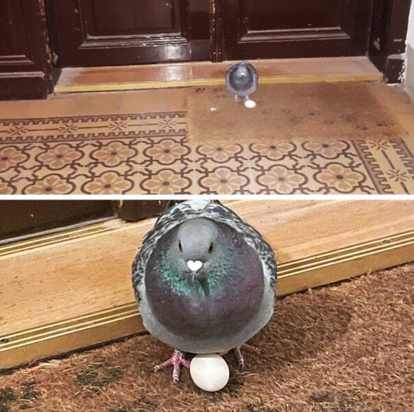 Unexpected And Awesome Finds (44 pics) Unexpected And Awesome Finds (44 pics)