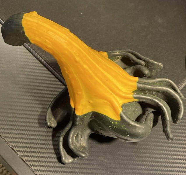 Unexpected And Awesome Finds (44 pics) Unexpected And Awesome Finds (44 pics)