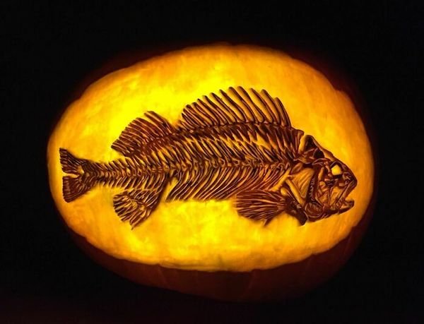 Amazing Halloween Pumpkins (45 pics)