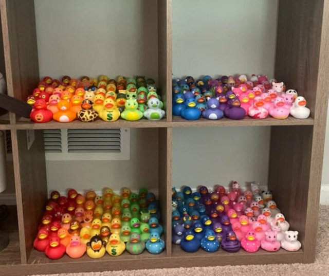 People Showed Their Interesting Collections (16 pics)