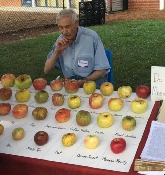 People Showed Their Interesting Collections (16 pics)