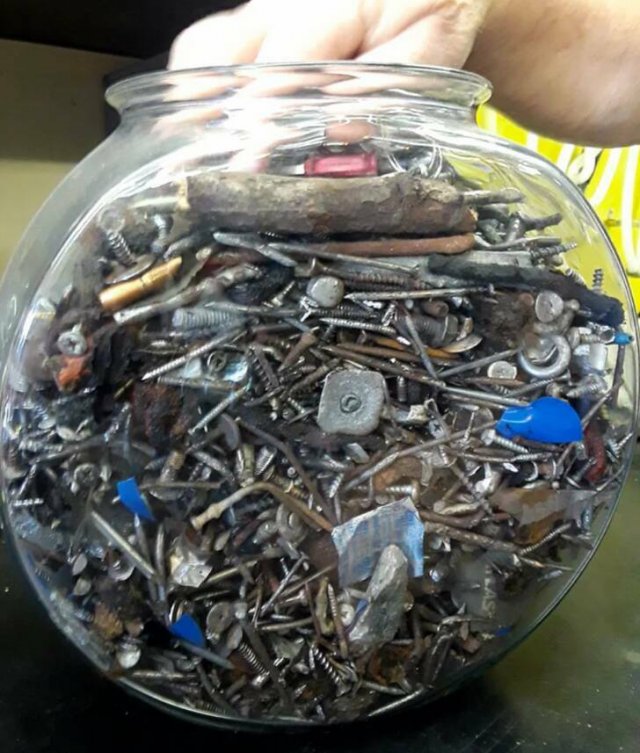 People Showed Their Interesting Collections (16 pics)