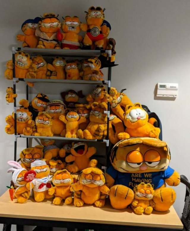 People Showed Their Interesting Collections (16 pics)