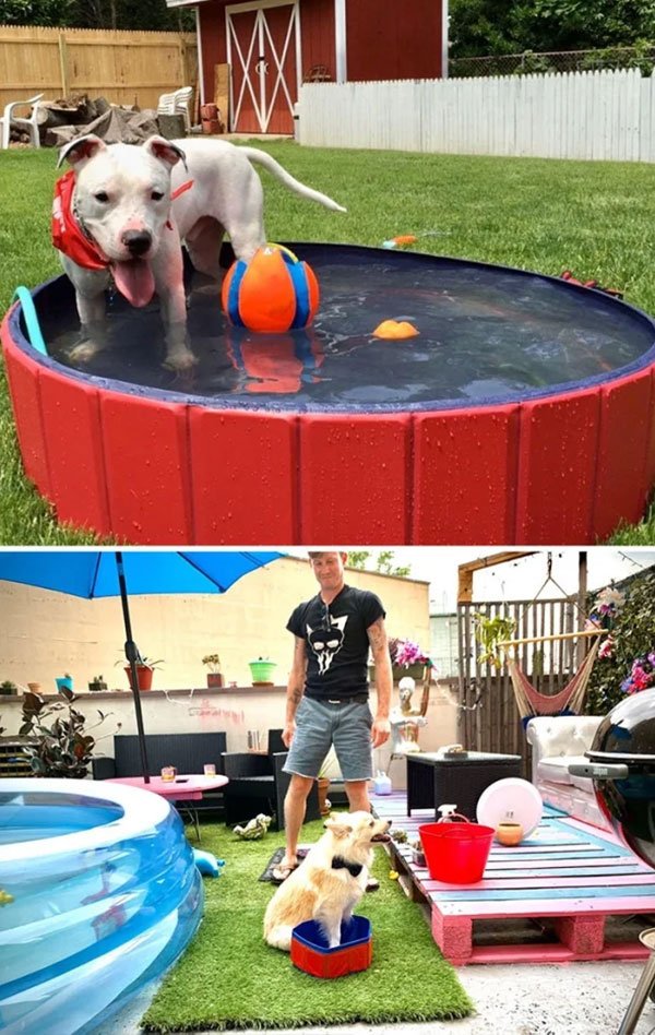 Expectations Against Reality (31 pics)