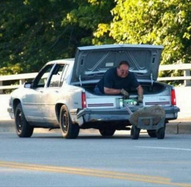 Crazy Cars (48 pics)
