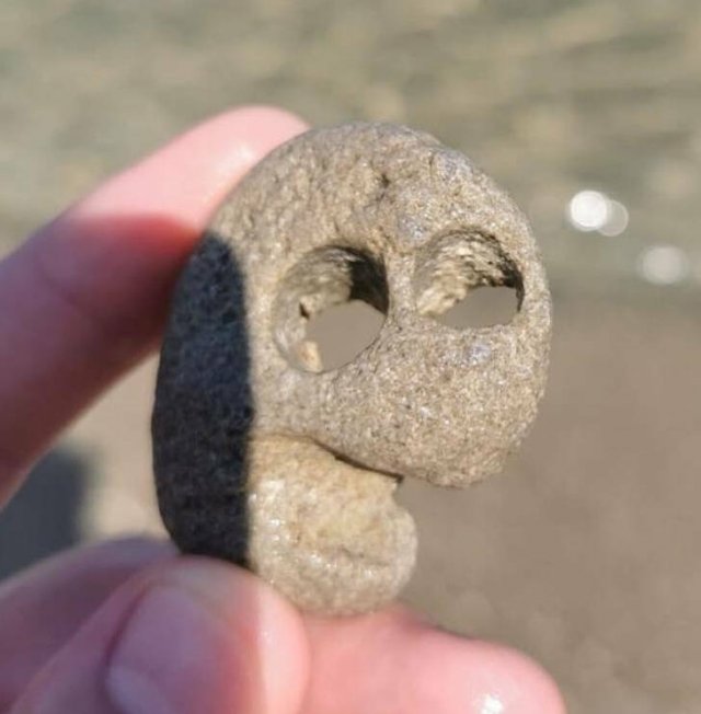 Interesting Finds (30 pics)