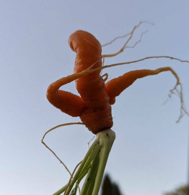 Interesting Finds (30 pics) Interesting Finds (30 pics)