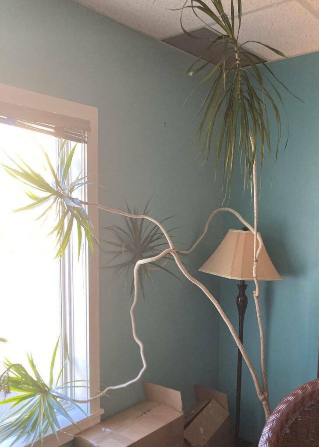 Interesting Finds (30 pics) Interesting Finds (30 pics)
