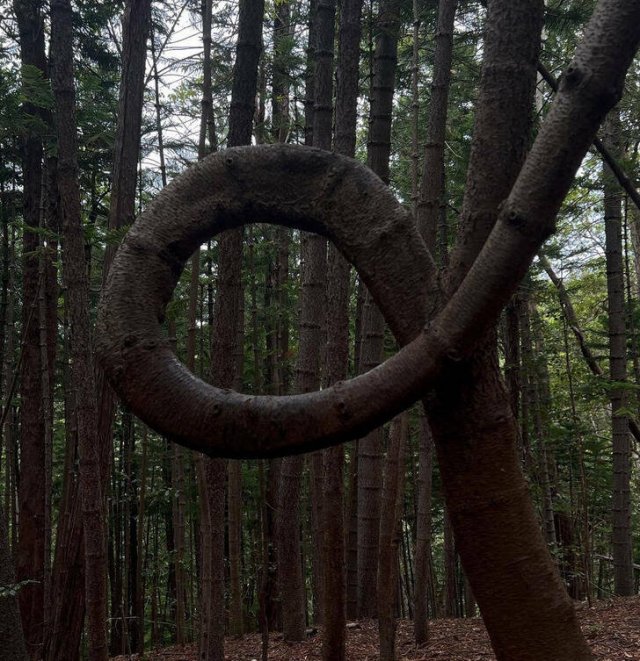 Interesting Finds (30 pics)